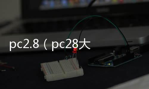 pc2.8(pc28大小单双死公式)